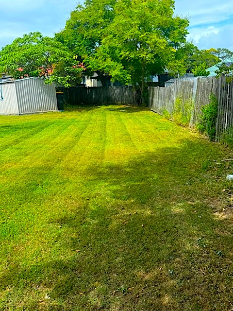 Completed Lawn Job